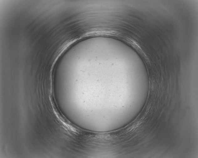 X0000056310844200509231918