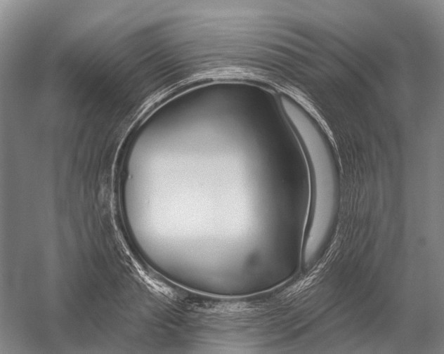 X0000056310845200509231918