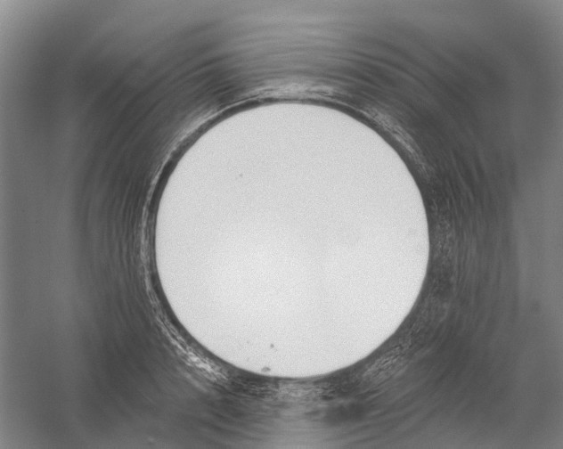 X0000056310848200509231918