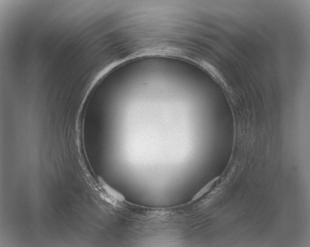 X0000056310854200509231918