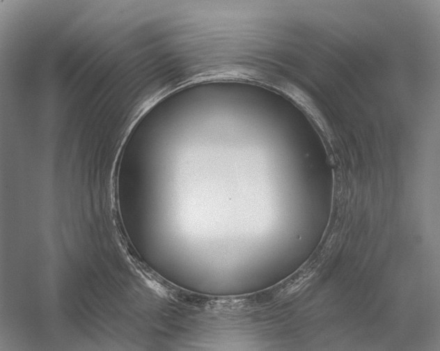 X0000056310858200509231918