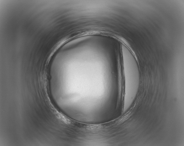 X0000056310859200509231918