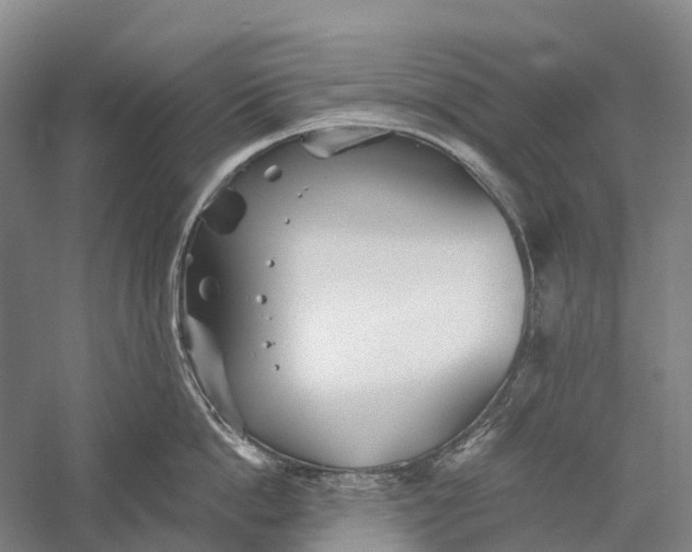 X0000056310862200509231919