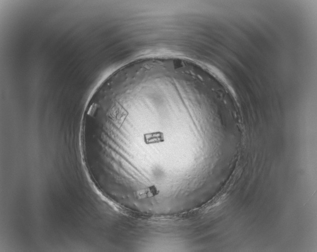 X0000056310863200509231919
