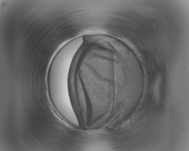 X0000056310864200509231919