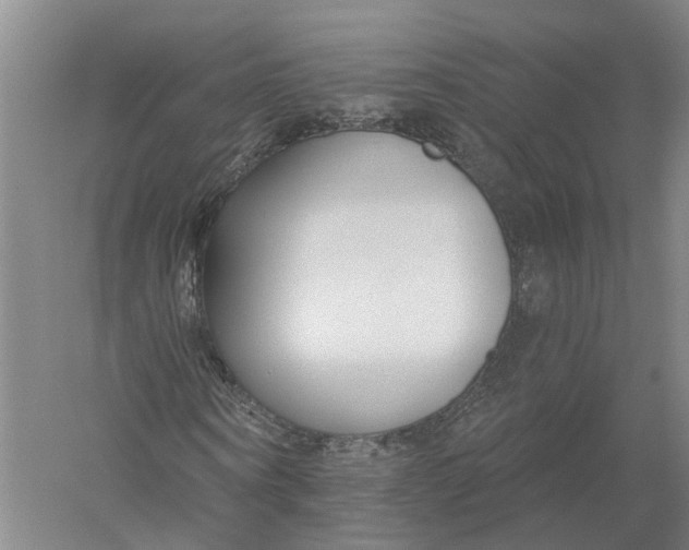 X0000056310866200509231918