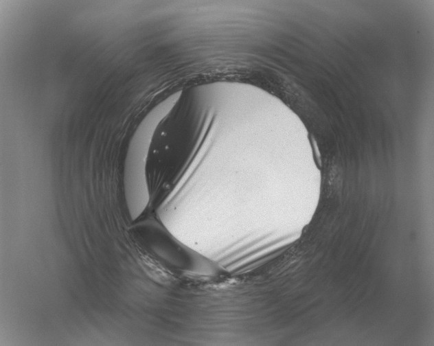 X0000056310868200509231918
