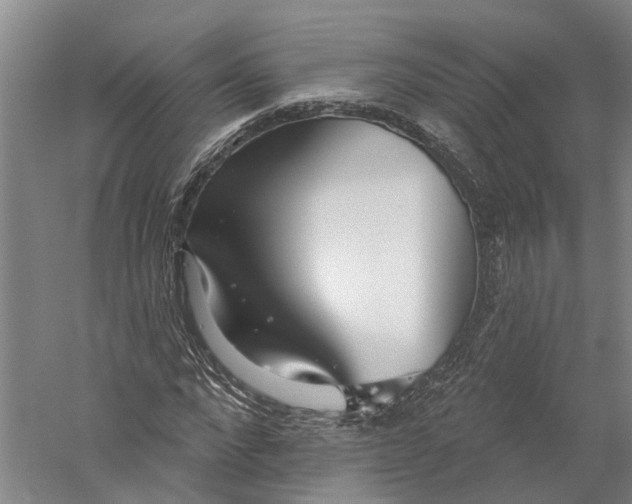 X0000056310872200509231918