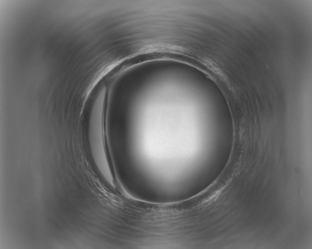 X0000056310877200509231918
