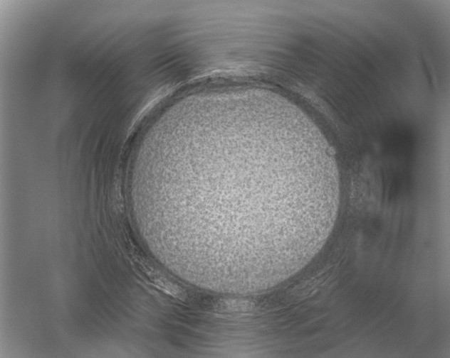 X0000056310878200509231918