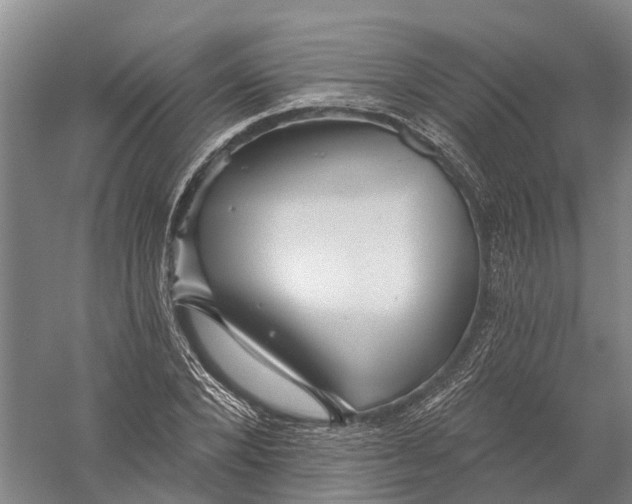X0000056310880200509231917