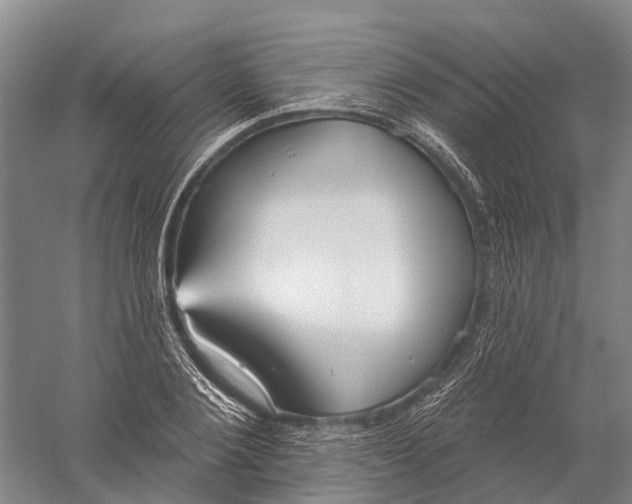 X0000056310884200509231917