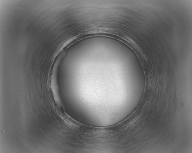 X0000056310885200509231917
