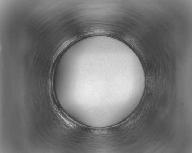 X0000056310890200509231917