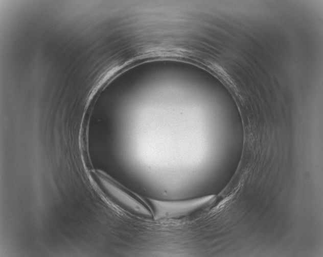 X0000056310893200509231917