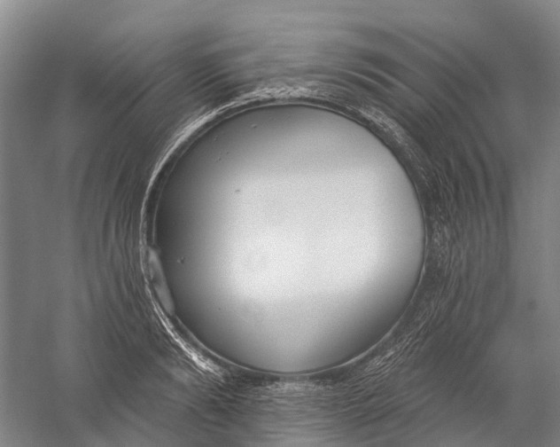 X0000056310894200509231917