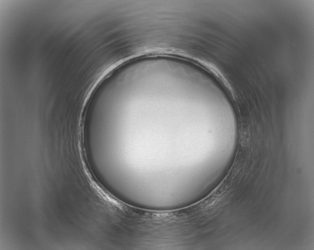 X0000056310903200509231917