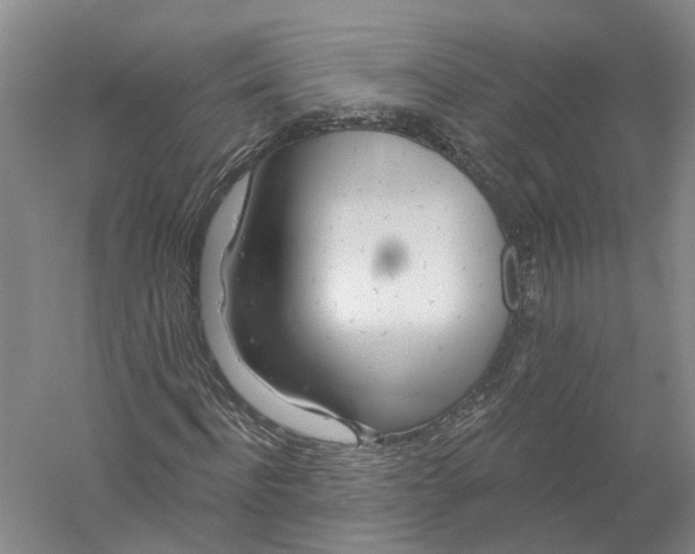 X0000056310916200509231916