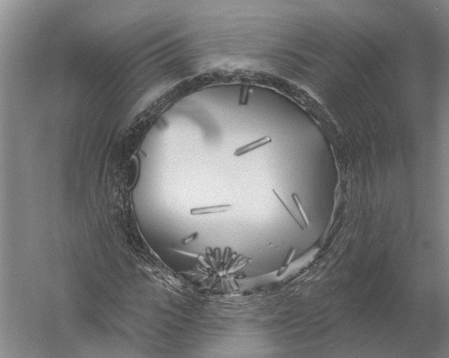X0000056310919200509231916