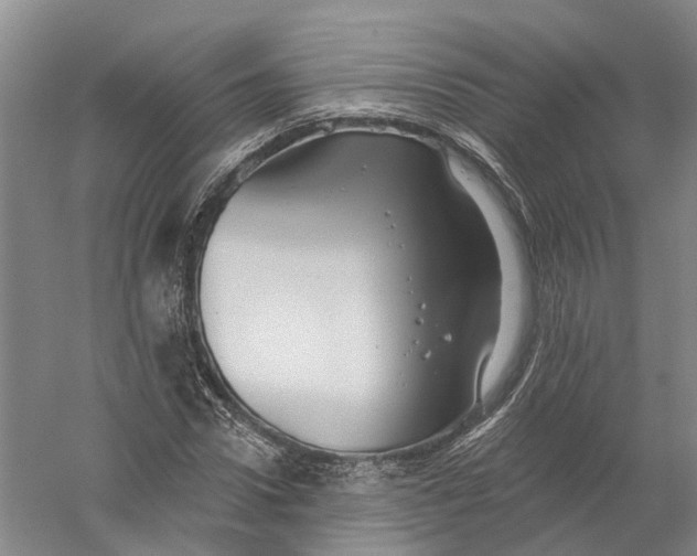 X0000056310922200509231916