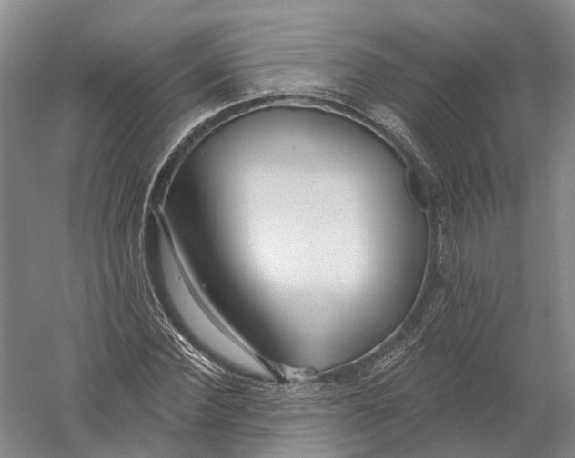 X0000056310924200509231916