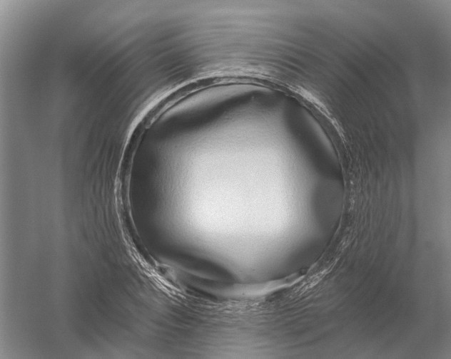 X0000056310928200509231916