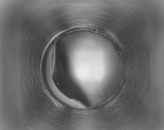 X0000056310932200509231916
