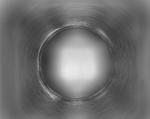 X0000056310940200509231917