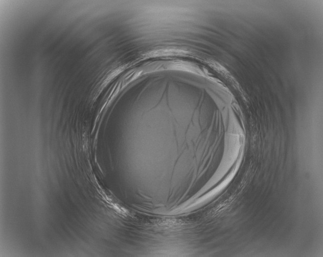 X0000056310945200509231917