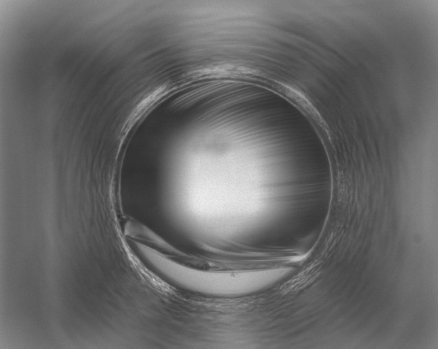X0000056310946200509231917