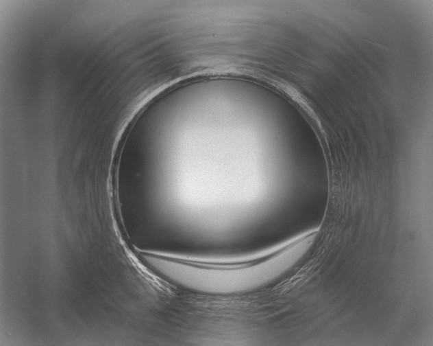 X0000056310951200509231917