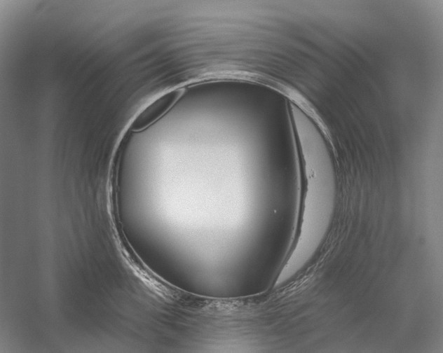 X0000056310955200509231917