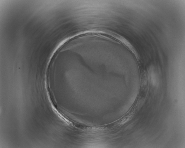 X0000056310958200509231917