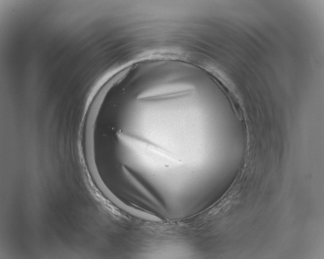 X0000056310960200509231917