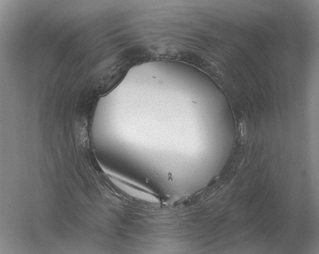 X0000056310963200509231916