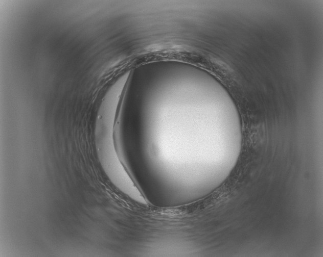 X0000056310966200509231916