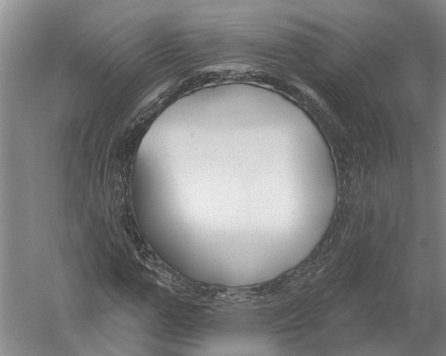 X0000056310967200509231916