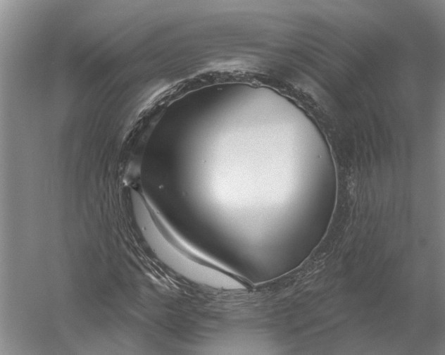 X0000056310968200509231916
