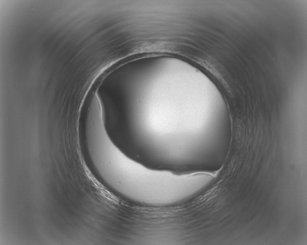 X0000056310980200509231916