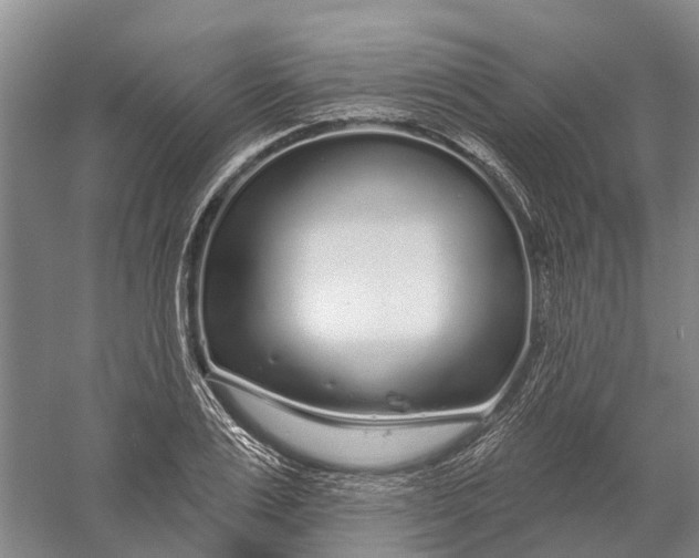 X0000056310983200509231916