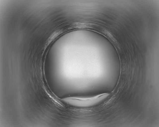 X0000056310986200509231916