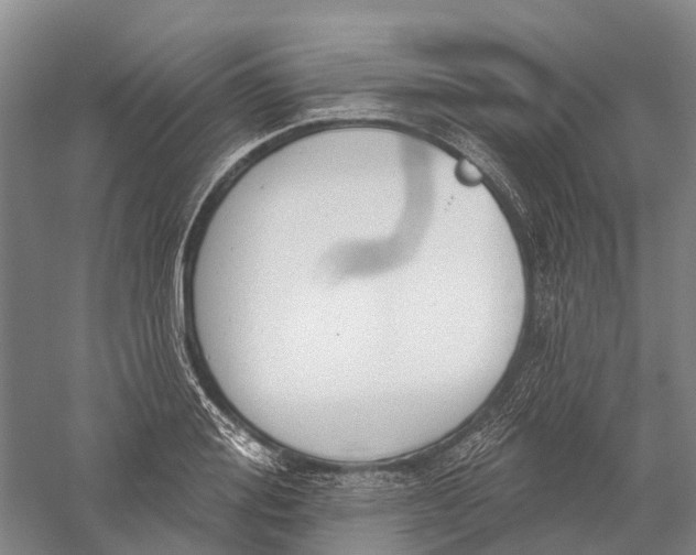 X0000056310988200509231916