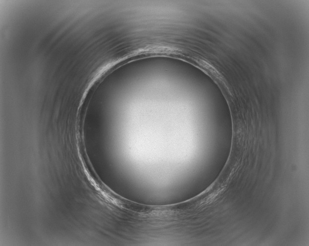 X0000056310989200509231916