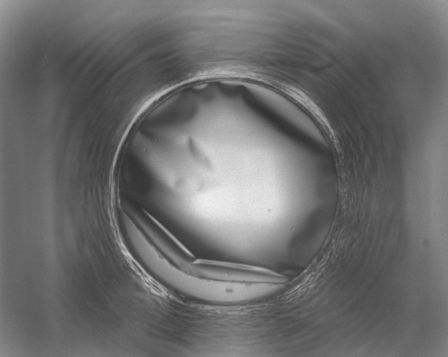 X0000056310996200509231915