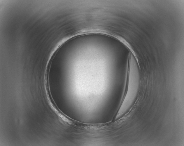 X0000056311005200509231915