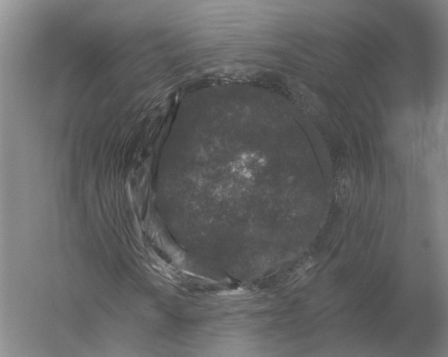 X0000056311010200509231914