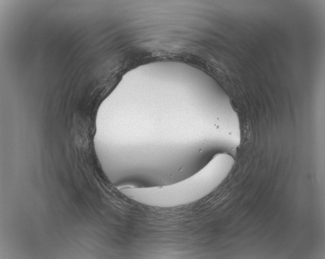 X0000056311012200509231915