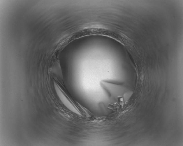 X0000056311014200509231915
