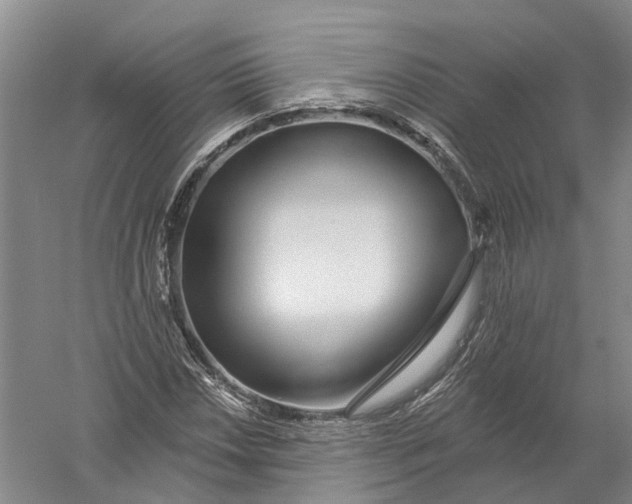 X0000056311018200509231915