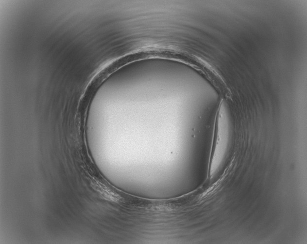 X0000056311021200509231915